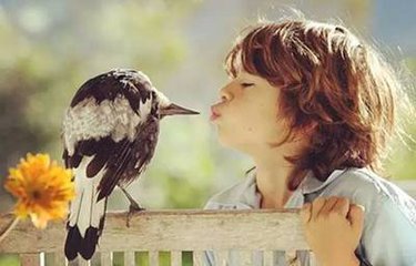 【家庭教育】十大慣子特征，你還在做嗎？