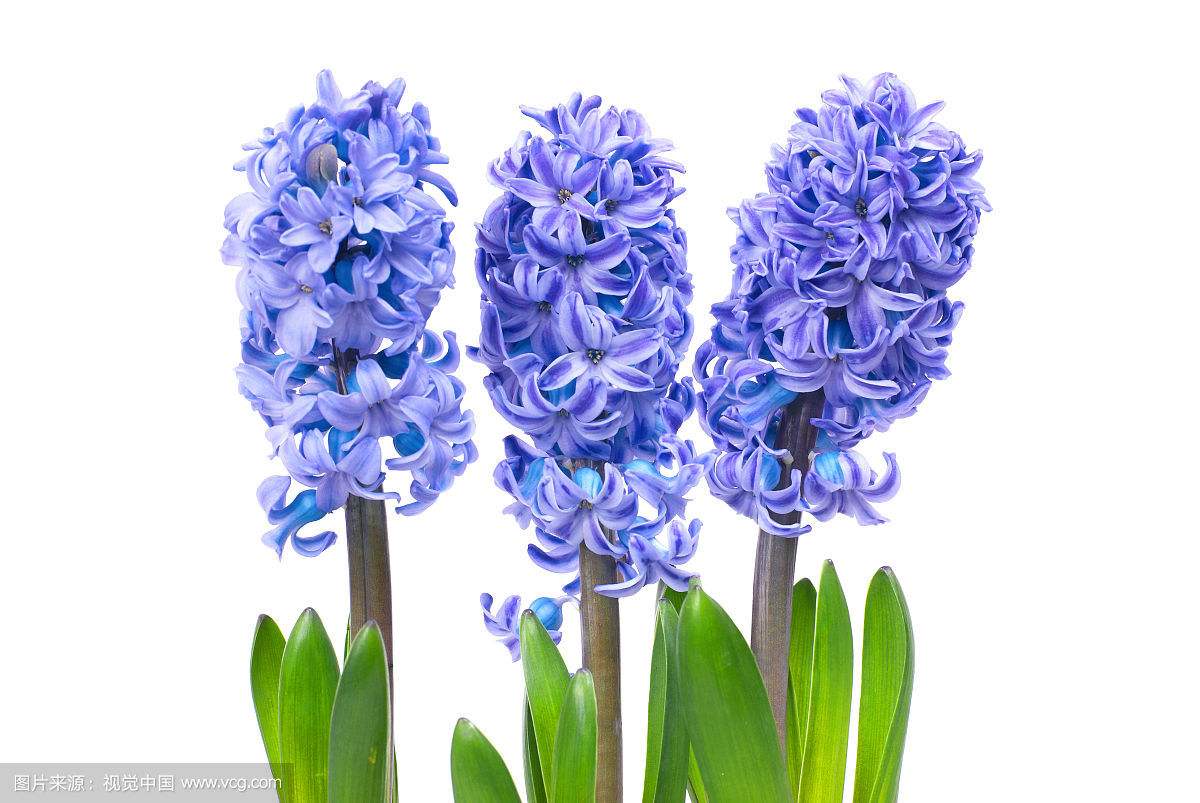 女神節(jié)到了，致敬美麗的幼兒園老師！