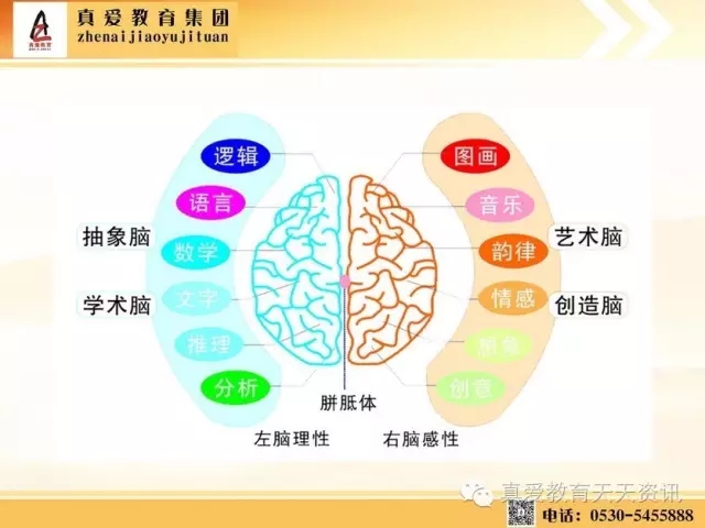 1488247234669525.jpg 640.webp (50).jpg